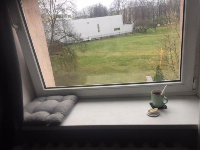 Studija Virs Cukraines Druskininkuose Druskininkai Esterno foto